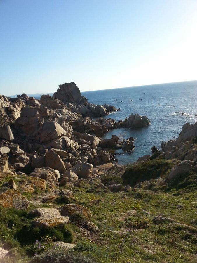 Maison Margherita Santa Teresa di Gallura Esterno foto